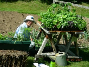 Schatze starts her Antrim garden with plants from Good Earth Farm.